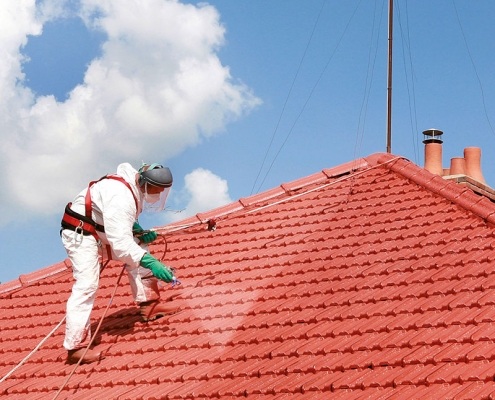 traitement des mousses sur toiture